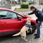 roma polizia bonifica corteo presidenziale