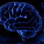 Neuralink chip nel cervello follia o futuro Il parere dellesperto