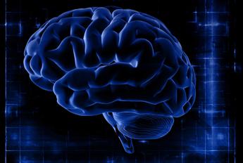 Neuralink chip nel cervello follia o futuro Il parere dellesperto