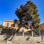 albero messo in sicurezza in viale san vincenzo a cagliari