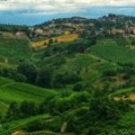 Canneto Pavese la storia secolare di un paese dove tutto ruota intorno al vino