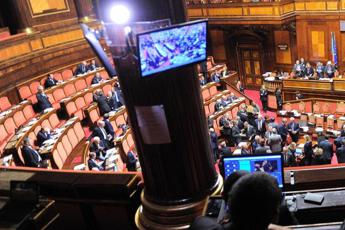 Almirante scontro Fratelli dItalia Pd in Senato cosa e successo