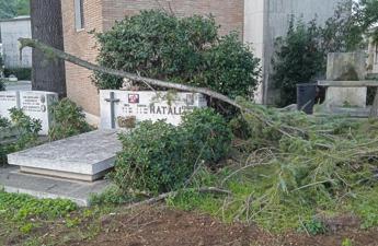 Al cimitero Flaminio furti degrado e cinghiali tra lapidi Cosi nostri cari muoiono due volte