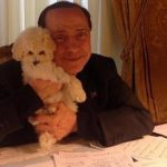 Berlusconi la seconda vita di Dudu il barboncino resta con Fascina ad Arcore