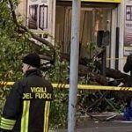 Donna uccisa da platano a Roma lagronomo Alberi troppo vecchi fare come a Parigi