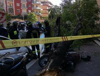 Forte vento su Roma cade albero a Monteverde morta una donna