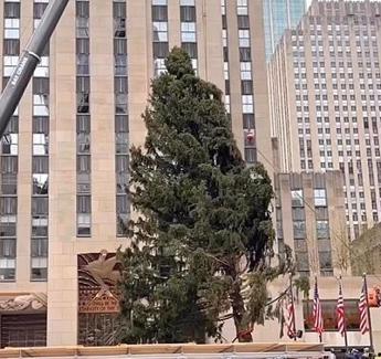 New York torna lalbero di Natale al Rockefeller Center