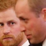 Tra William e Harry danni irreparabili ecco perche