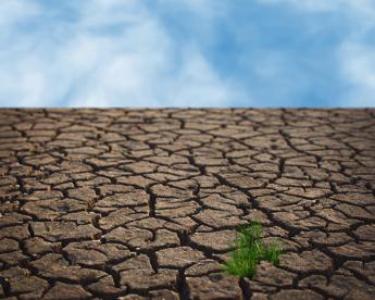 Una Terra sempre piu arida lallarme degli scienziati