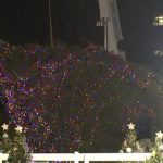 Usa cade lalbero di Natale della Casa Bianca colpa del forte vento