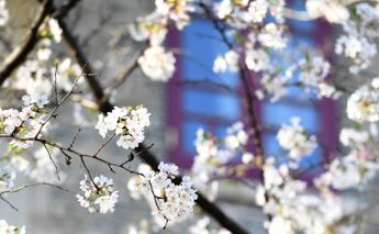 Dedicare equinozio di primavera al calabrese Lilio proposta di legge Lega