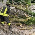 Maltempo oggi in Italia alberi su auto in Emilia Romagna. Forti raffiche di vento in Toscana