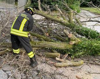 Maltempo oggi in Italia alberi su auto in Emilia Romagna. Forti raffiche di vento in Toscana