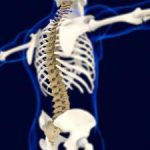 Osteopatia diventa corso di laurea fra le polemiche E pseudoscienza