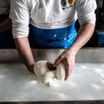 Sostenibilita per ogni kg di mozzarella dop sottratti 52 kg di Co2 dallambiente