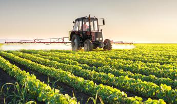 Agricoltura Ismea ripartono gli incentivi per limprenditoria giovanile e femminile