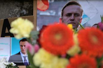 Navalny ucciso con un pugno al cuore