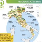 Foreste certificate un milione di ettari targati Pefc