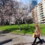 In arrivo un assaggio di primavera le previsioni meteo di oggi e domani