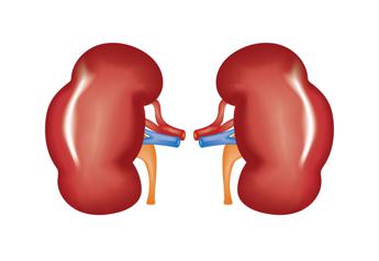 Malattia renale cronica in aumento ne soffrono in oltre 800 milioni