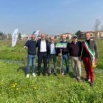 Sostenibilita Mosaico Verde inaugurato a Caravaggio intervento di forestazione