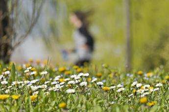 Arriva Narciso lAnticiclone che piace temperature estive anche al Nord