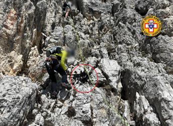 Cane scala montagna e resta bloccato salvato