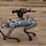 Cani robot pronti ad uccidere Cina trasforma migliori amici delluomo in macchine da guerra Video