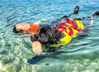 Estate Sics Cani salvataggio pronti a tuffarsi per sicurezza spiagge italiane e laghi