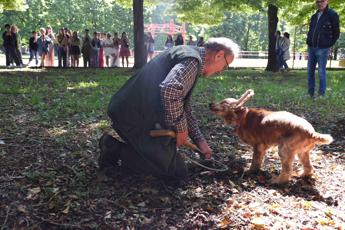 Leo il cane cieco campione nella ricerca del tartufo ecco la sua storia