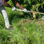 Latina lavoratore agricolo indiano perde un braccio scaricato in strada senza soccorsi