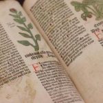 Risolto il mistero del Manoscritto di Voynich