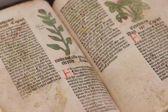 Risolto il mistero del Manoscritto di Voynich