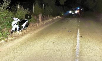 Si schianta in scooter contro un cervo turista milanese muore nel Cagliaritano