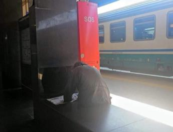 Uccidono cane di un clochard a Ponte Galeria ecco cosa rischiano