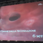 Aborto Pro Vita Famiglia maxi proiezione in piazza a Roma di Baby Olivia