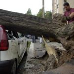 Alberi caduti a Roma almeno due indagati tra dirigenti Comune