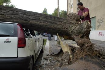 Alberi caduti a Roma almeno due indagati tra dirigenti Comune