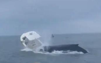 Balena attacca barca di pescatori due volano in mare Video