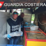 Cortina pesce scaduto nei ristoranti dei vip sequestro da 14 tonnellate