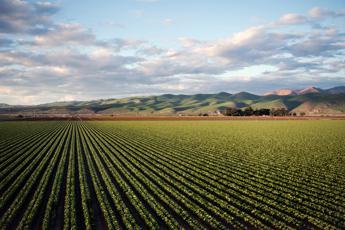 Fertilizzanti e idrogeno la svolta sostenibile del settore agricolo