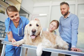 Universita a Roma Tor Vergata il nuovo corso di laurea in Medicina veterinaria