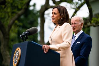 Vance contro Kamala Harris e le donne americane senza figli Gattare