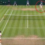 Wimbledon la magia di Sinner gela Shelton Video