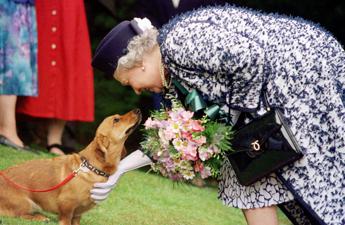 Dai Corgi di Elisabetta al Teckel di Margrethe cani passione reale