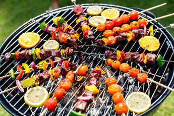 Ferragosto picnic e grigliate tra rischi punture insetti e incubo caldo i consigli