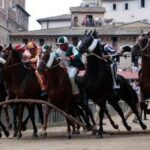 Palio di Siena la Contrada dellOnda vince la prova generale