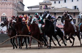 Palio di Siena la Contrada dellOnda vince la prova generale