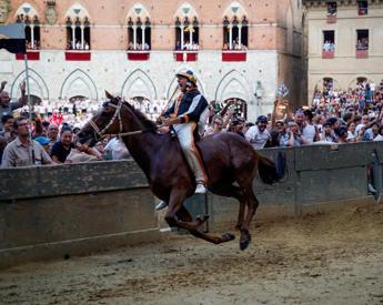 Palio di Siena trionfo Lupa chi e Velluto il fantino che ha vinto