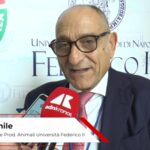 Agroalimentare Campanile Universita Federico II Latte bufala ricco di proprieta nutraceutiche